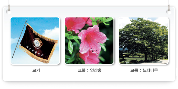[왼쪽부터]교기, 교화:연산홍, 교목:느티나무 이미지