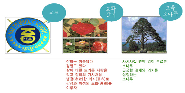 [왼쪽부터] 교표, 교화장미, 교목 소나무 이미지