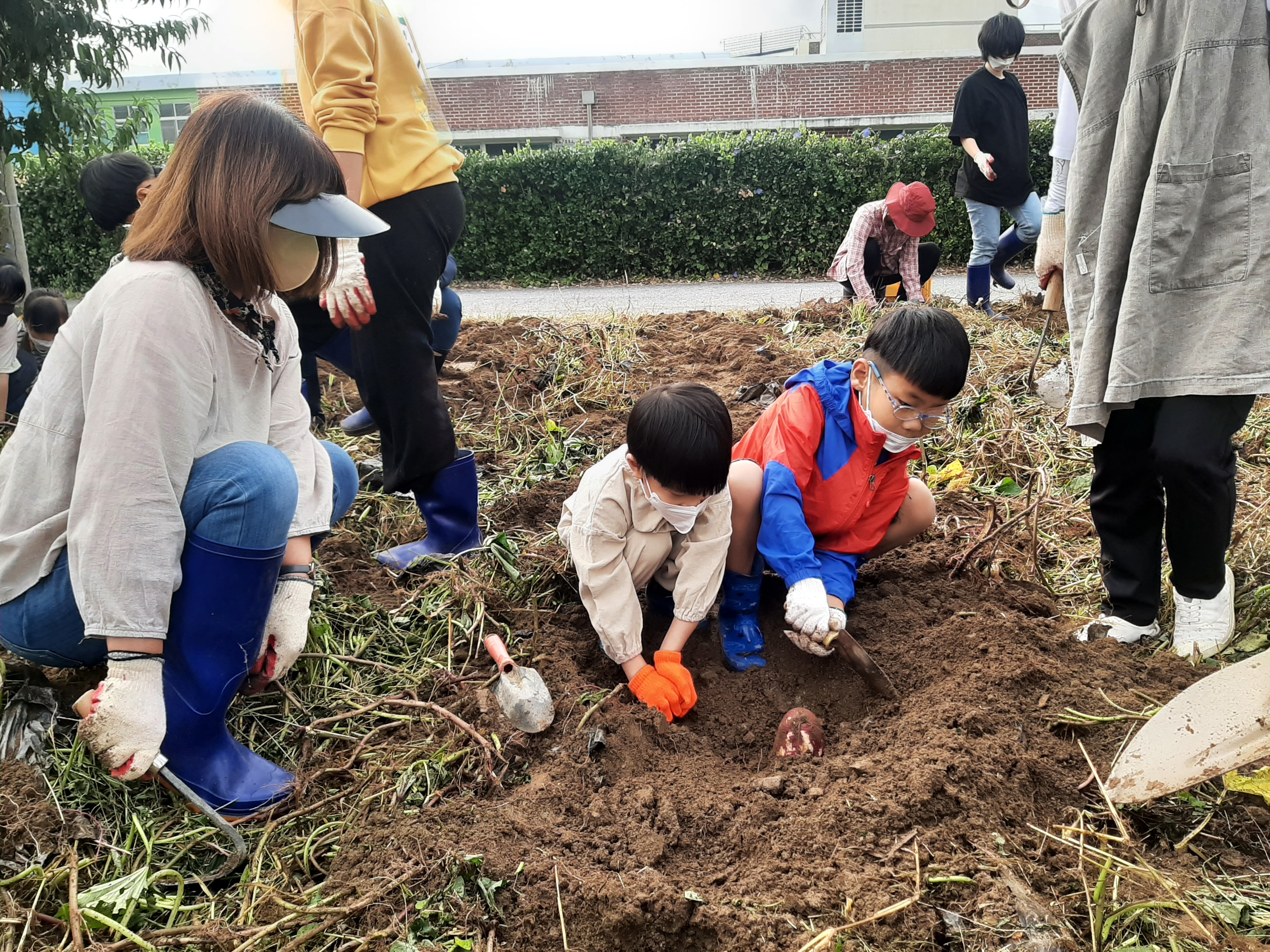 동락초등학교