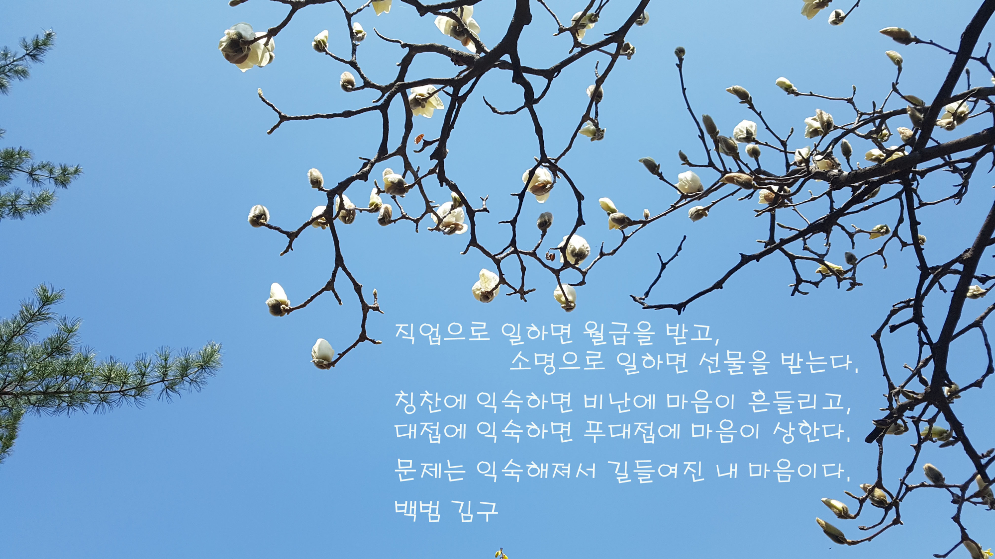 사본 -새학년-2