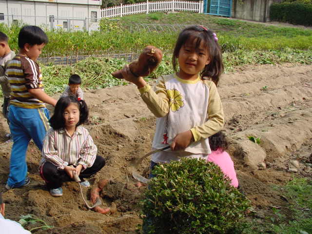 고구마를 캐요.jpg