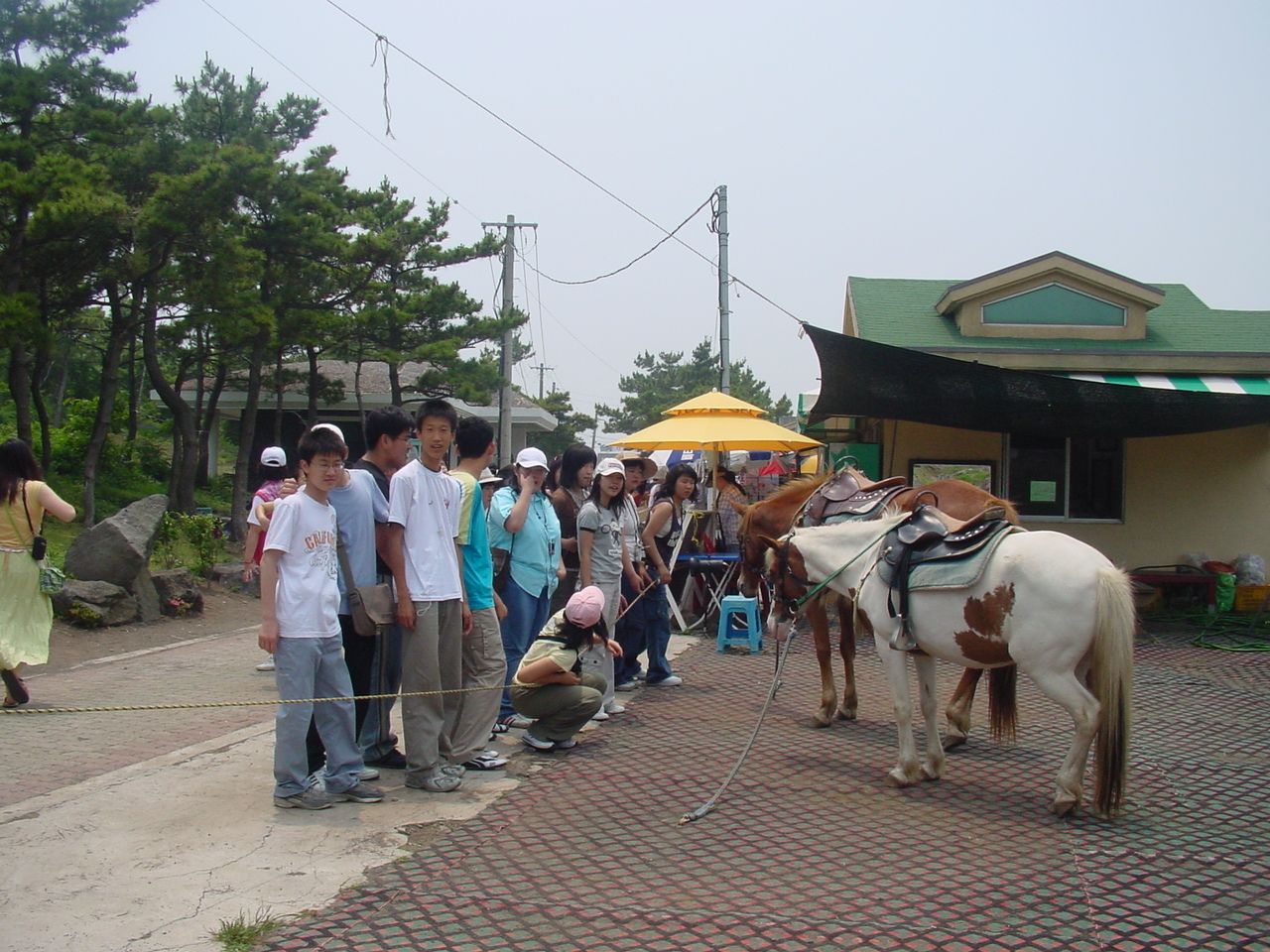 05년%20수학여행%20085.jpg