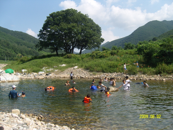 사진 설명은 본문내용 참조