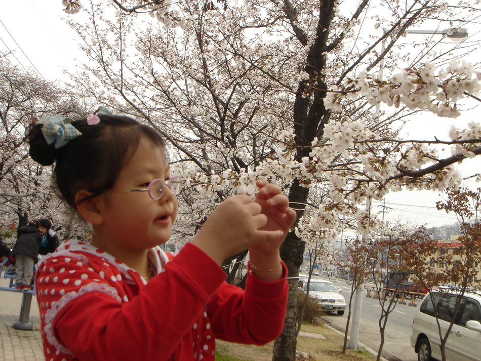 사진 설명은 본문내용 참조