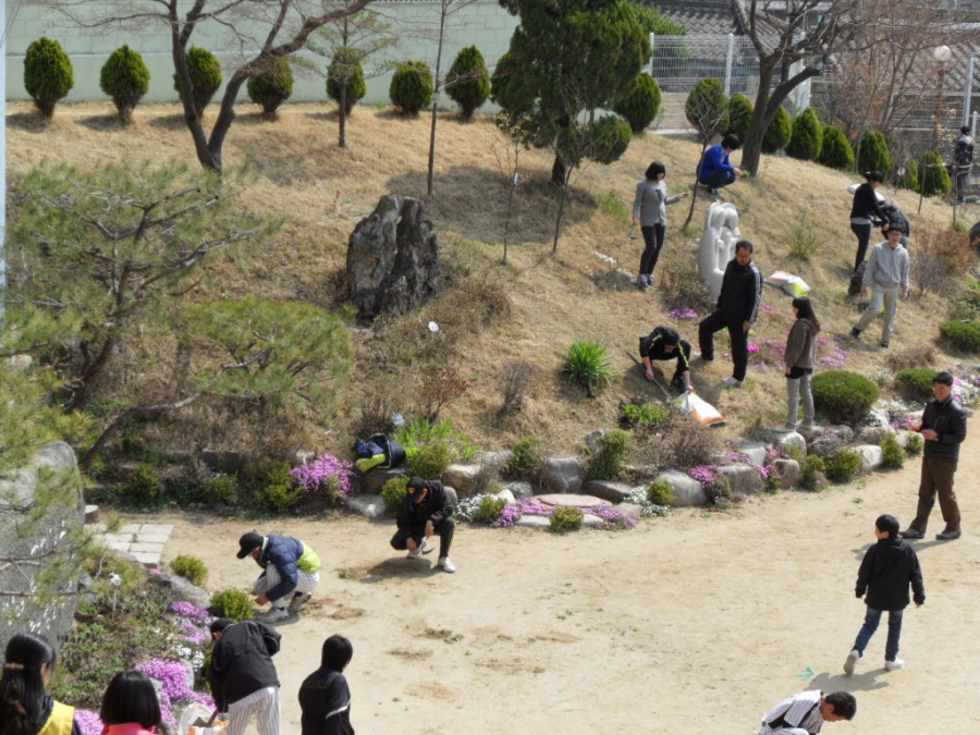 학교주변 잡초제거 및 거름주기