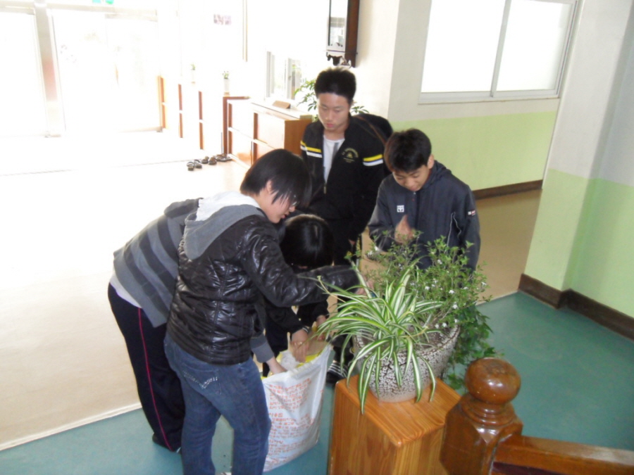 학교주변 잡초제거 및 거름주기