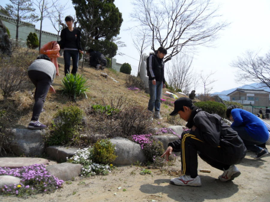 학교주변 잡초제거 및 거름주기