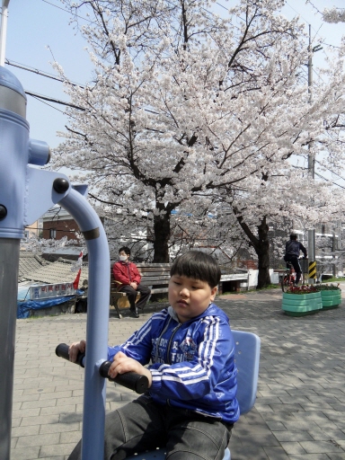 따스한 봄햇살을 맞으며 꽃구경을 해요.