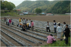 원예부활동1.JPG