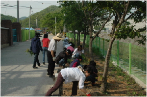 학교환경정리사진1.JPG