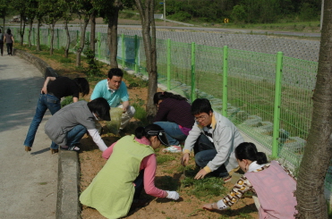 환경정리의 모습...