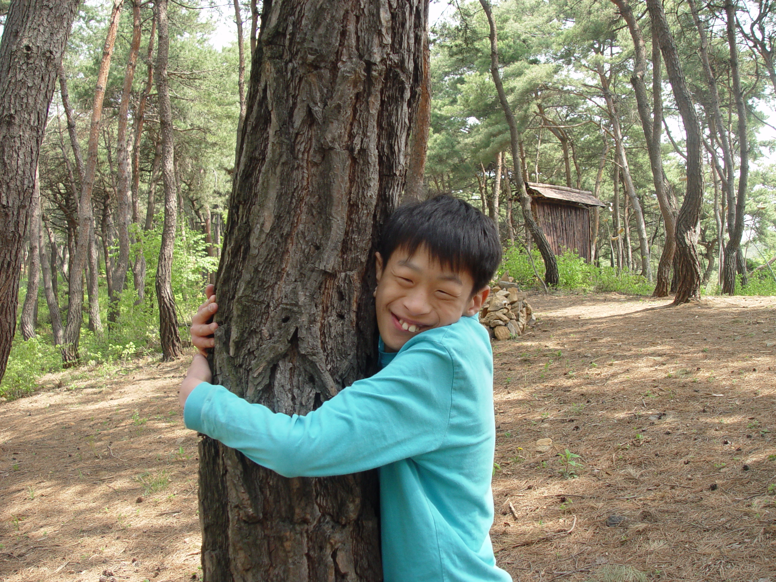 자기 나무 정하기. 해맑은 웃음 짱이죠.