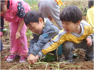 고구마캐기_002.jpg