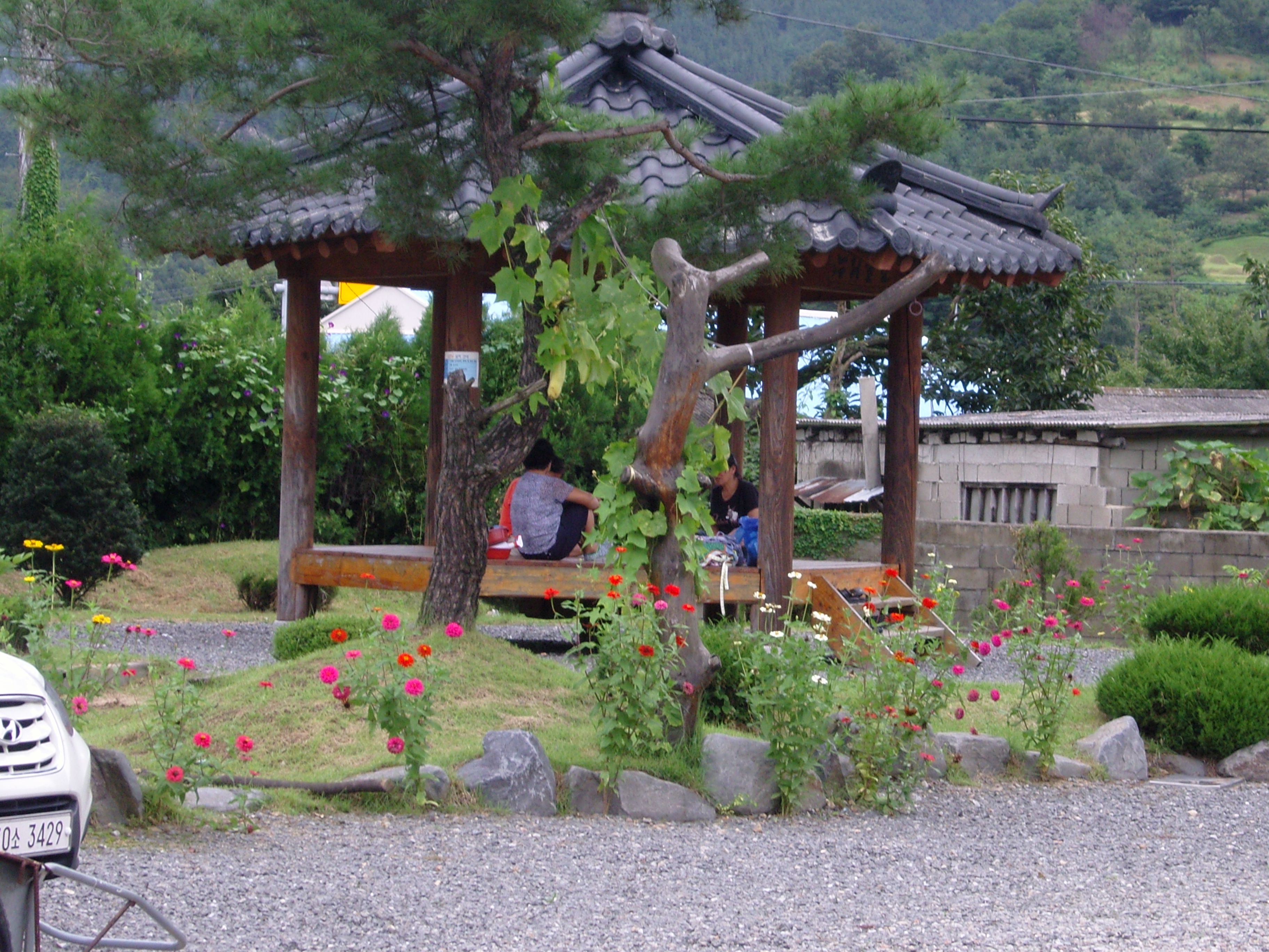 학교안 꽃밭