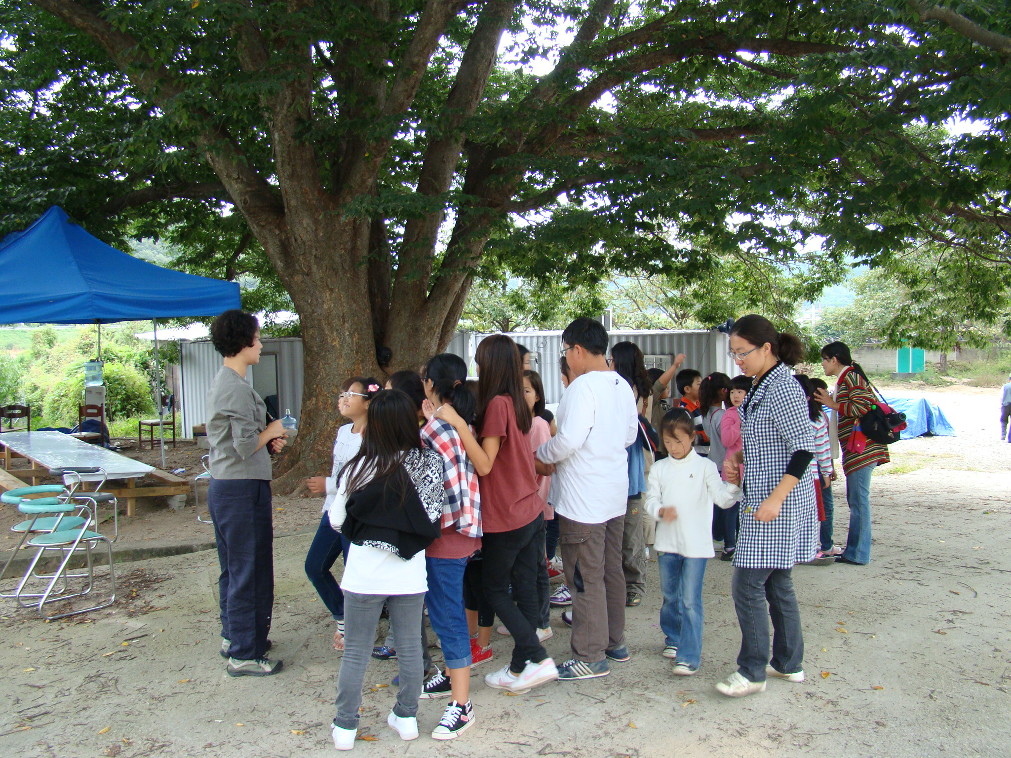 구강리 중심이었던 구강국민학교 안에 느티나무 앞에서