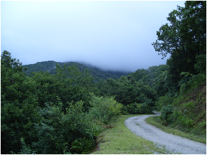 산책로9.jpg