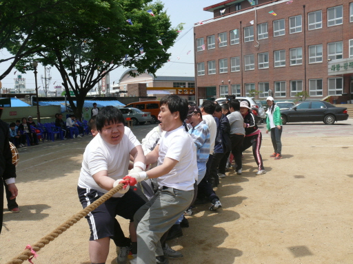 전체 학생들이 열심히 줄다리기를 하고 있습니다.