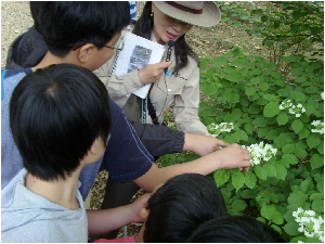 11사본 - SI850800.jpg