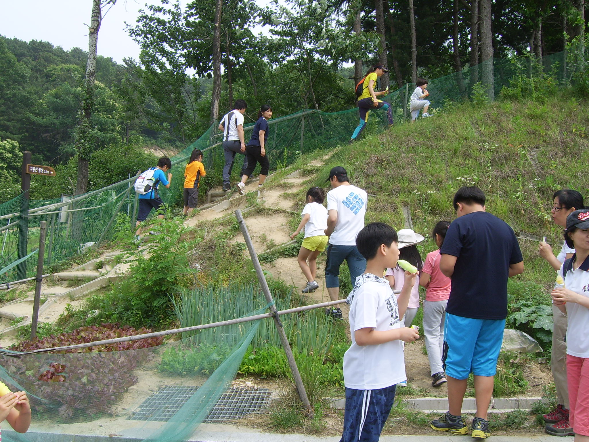 20110619 가족등반사진 (9)