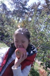맛있게 사과를 먹는 혜미