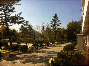 20111101_학교가을풍경 334.jpg