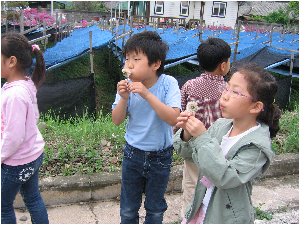 봄나들이-민들레홀씨야 날아라.jpg