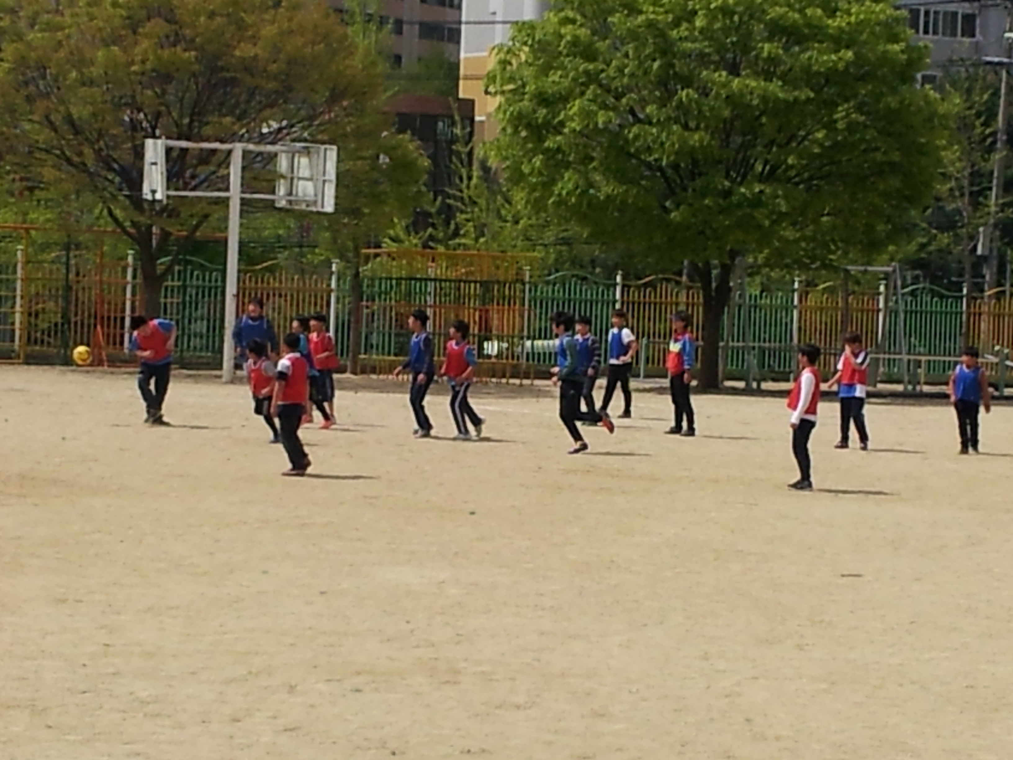 축구