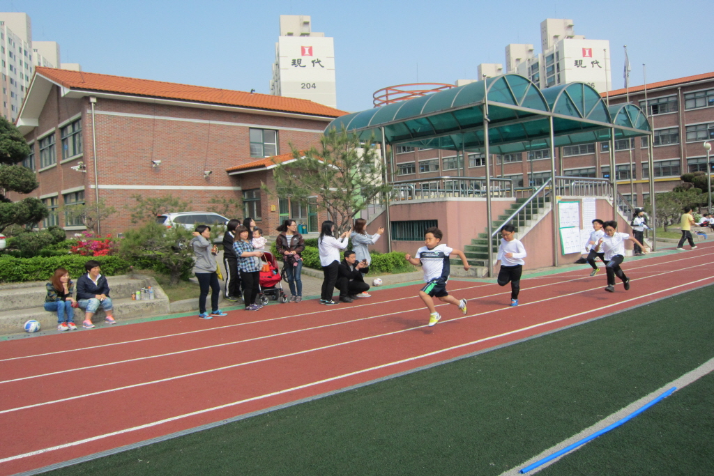 크기변환_학교카메라 전체사진 472