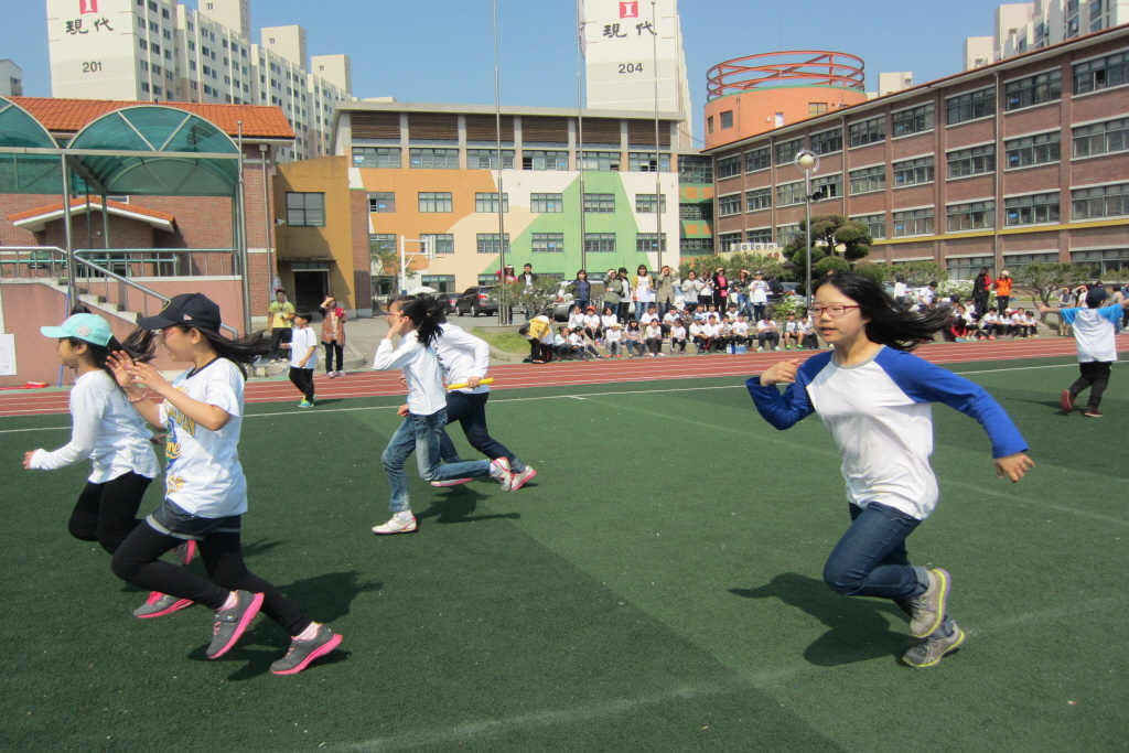 크기변환_학교카메라 전체사진 530