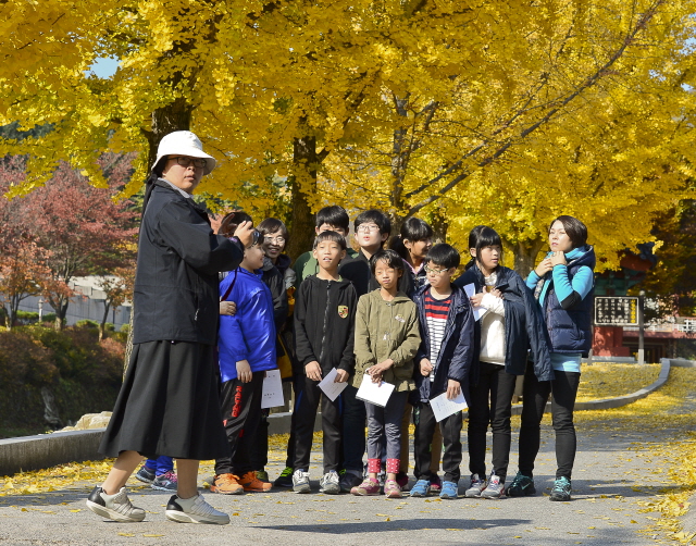 노오란 은행나무 아래서 단체사진