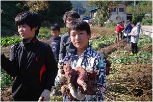 고구마 수확.JPG