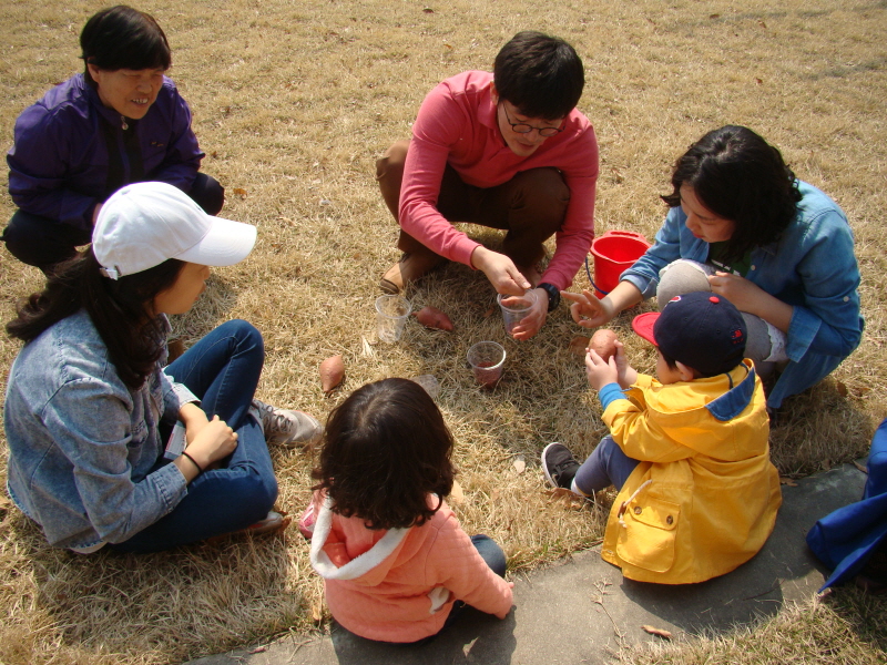 시내반 고구마순 화분 만드는 모습