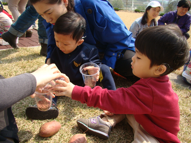 하이드로 볼을 담는 모습