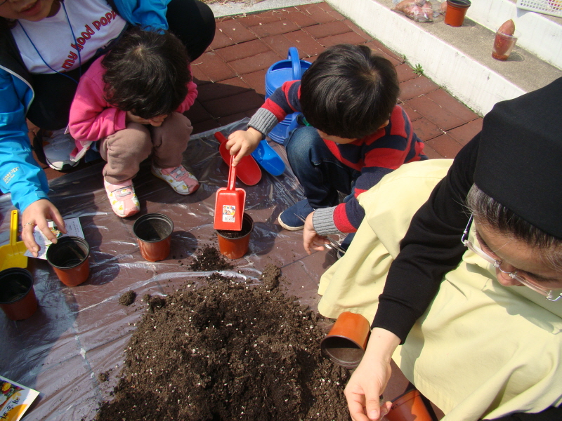 화분에 흙을 담아요.