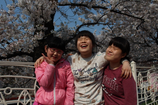 세영이, 민주, 현주가 벚꽃나무 앞에서 어깨동무하며 즐겁게 웃고 있는 모습입니다.