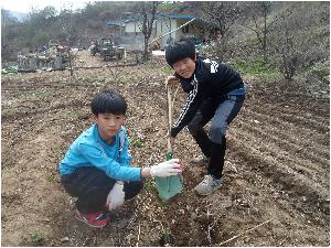 호두나무 심기(14.4.3) (3).JPG