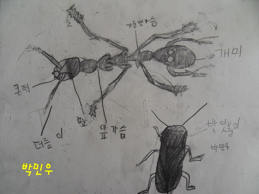 꾸미기_크기변환_SDC14364