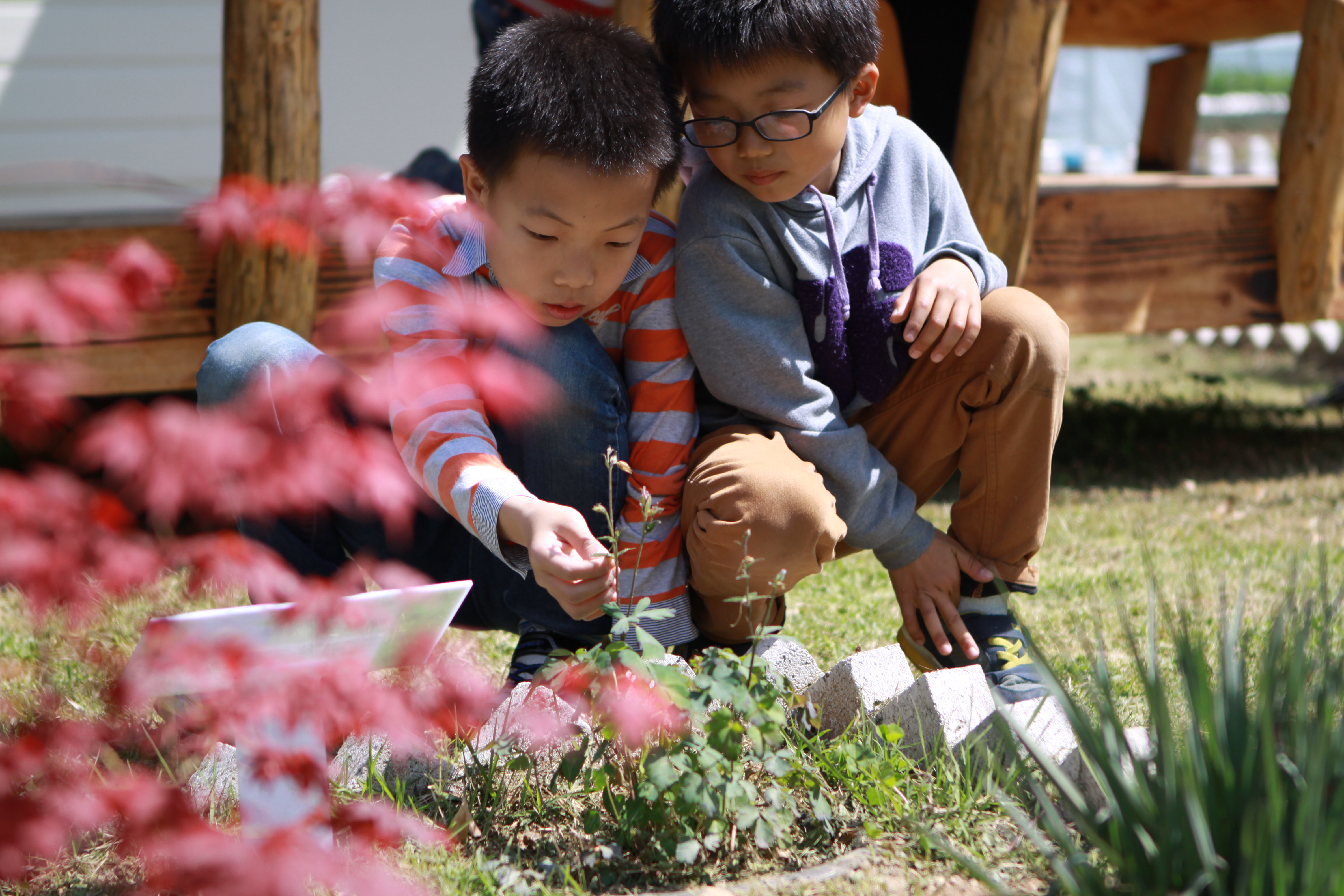 20140512.세중초.홍보자료.우리꽃 관찰탐구및 전시회.JPG