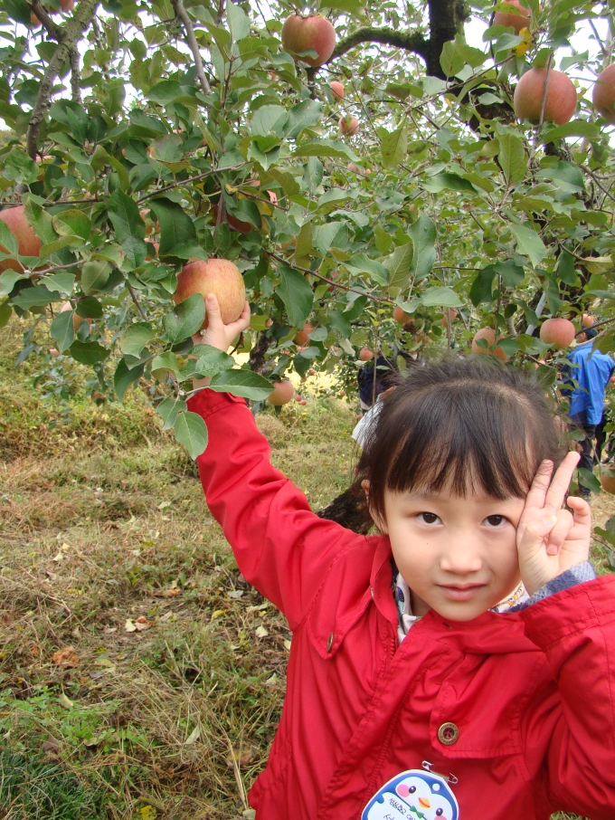 과수원에서 8