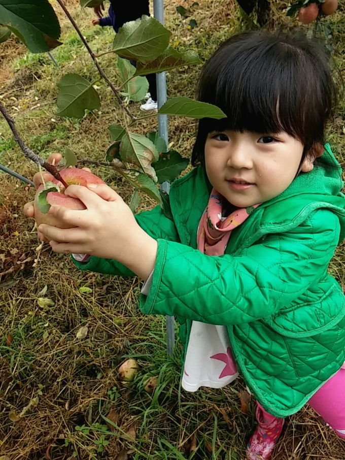 과수원에서 6