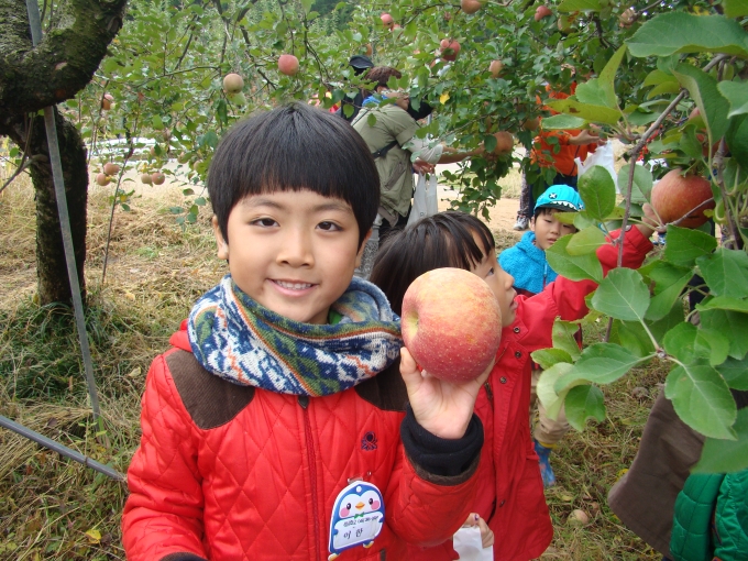 과수원에서 11