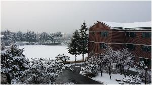 r-20150313_080857.jpg