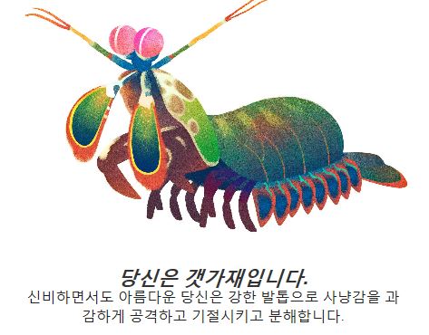 구글 지구의 날 기념 퀴즈 결과 - 갯가재 