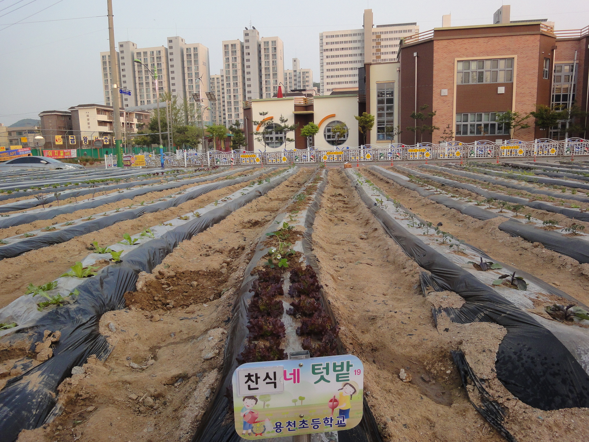 텃밭 전경