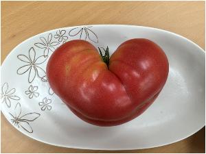 20150716114041.jpg