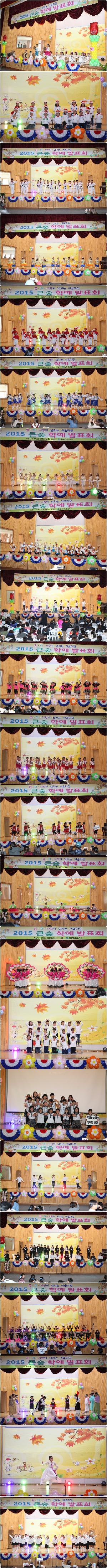 2015 큰숲 학예 발표회.jpg