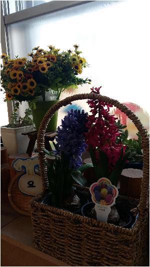 20160324_090954.jpg