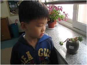 식물가꾸기 015.JPG