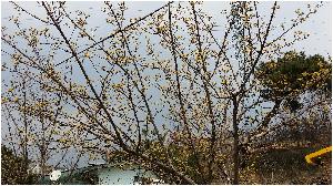 20160323_122412.jpg