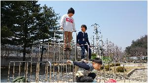 20160328_131914[1].jpg